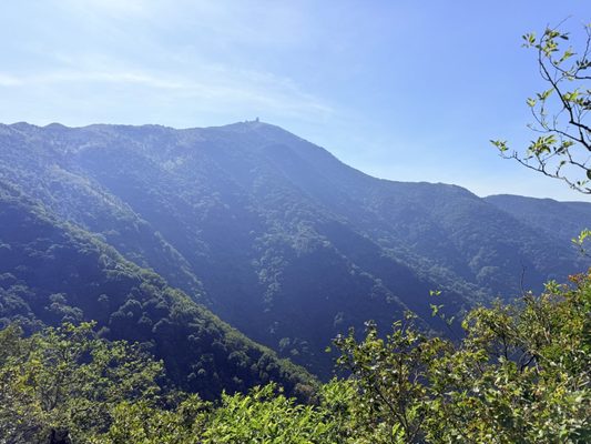 Kadoorie Farm and Botanic Garden by null