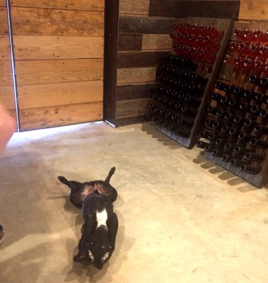 CALAIS Winery by null