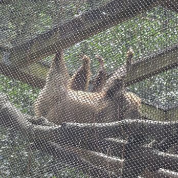 Zoo Atlanta - Zoos Near Me - Atlanta, Georgia Zoo Atlanta - Zoos Near Me - Atlanta, Georgia