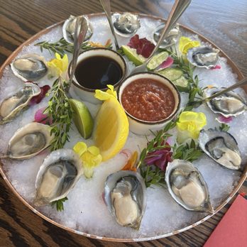 DAOU Vineyards - Morro bay Oysters - Wineries Near Me - Paso Robles, California DAOU Vineyards - Morro bay Oysters - Wineries Near Me - Paso Robles, California