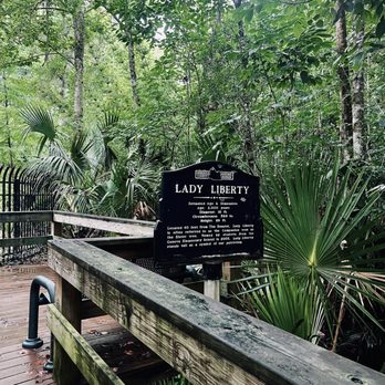 Big Tree Park - Parks Near Me - Longwood, Florida