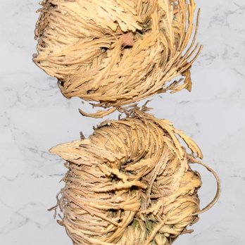 Quartz Nirvana - Rose of Jericho - Spiritual Shop Near Me - Tacoma, Washington Quartz Nirvana - Rose of Jericho - Spiritual Shop Near Me - Tacoma, Washington
