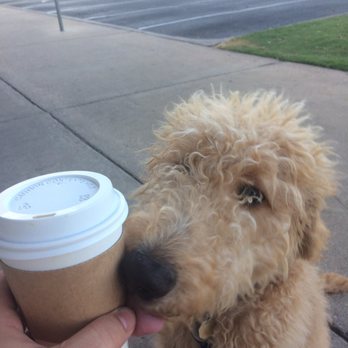 Wholy Bagel - Free coffee is you check in with Yelp! - Bagels Near Me - Austin, Texas