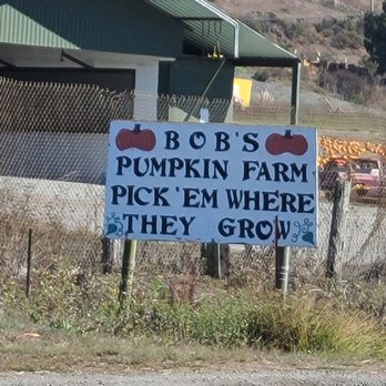 Bob's Vegetable Stand & Pumpkin Farm - Pumpkin Patches Near Me - Half Moon Bay, California Bob's Vegetable Stand & Pumpkin Farm - Pumpkin Patches Near Me - Half Moon Bay, California