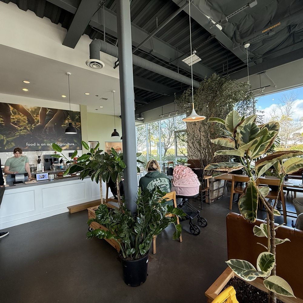 Dot Cafe - Inside - Coffee & Tea Near Me - San Diego, California Dot Cafe - Inside - Coffee & Tea Near Me - San Diego, California