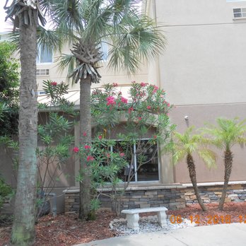 Sleep Inn Ormond Beach - Daytona - landscaping in front - Hotels Near Me - Ormond Beach, Florida