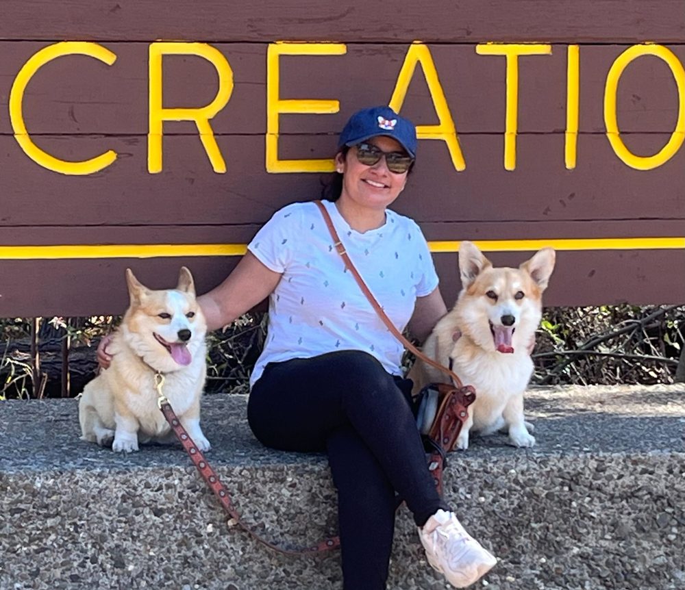 PETCO 55 Photos & 126 Reviews 1150 Concord Ave, Concord, California