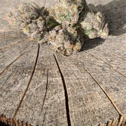 Riverside Wellness Collective - Beautiful nugs are always available on the river!