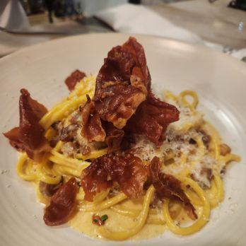 Olivia - Pasta carbonata is another favorite. Not too strong and always cooked to perfection. - Pizza Near Me - St. Petersburg, Florida