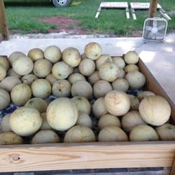 Price's Produce - Cantaloupe