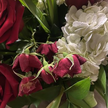 Floreria Mia - Dead roses in less than 12 hours - Florists Near Me - Phoenix, Arizona