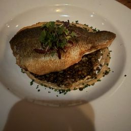 Loup de mer et lentilles Loup de mer et lentilles