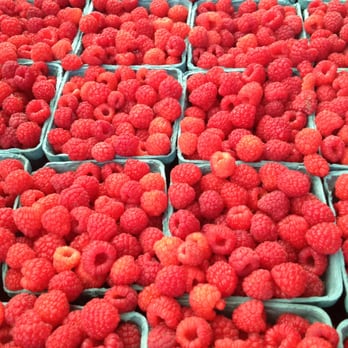 Cold Spring Park - Farmer's Market during Summertime. - Parks Near Me - Newton, Massachusetts