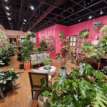 Urban Plantology - Happy plants - Nurseries & Gardening Near Me - Fort Worth, Texas Urban Plantology - Happy plants - Nurseries & Gardening Near Me - Fort Worth, Texas