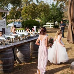 Seeker Vineyard