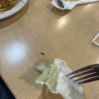 Four Seasons Buffet - Chinese Near Me - Modesto, California Four Seasons Buffet - Chinese Near Me - Modesto, California