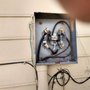 Photo of Family Electric