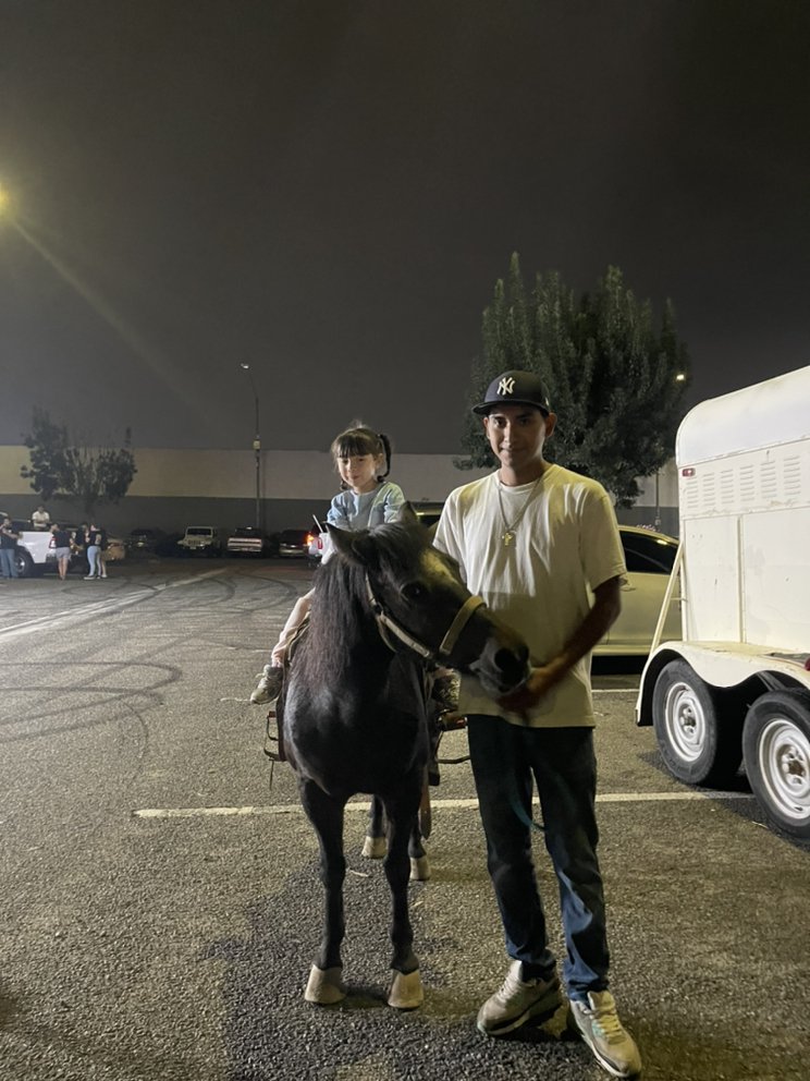 KATHY’S PONYS RIDES AND PETTING ZOO 11 Photos Los Angeles