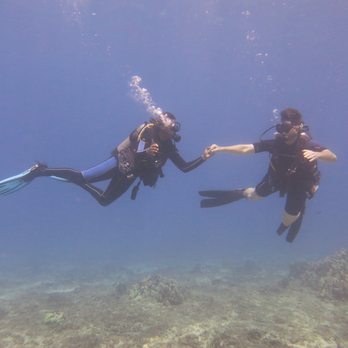 Banyan Tree Divers Maui - The pacific to be specific - Scuba Diving Near Me - Lahaina, Hawaii Banyan Tree Divers Maui - The pacific to be specific - Scuba Diving Near Me - Lahaina, Hawaii