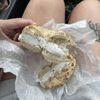 Bagel Station gift card