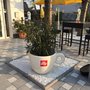 Photo of Cafe Handl