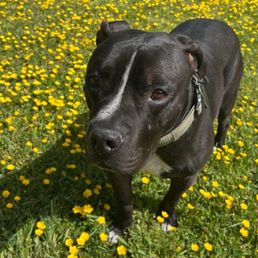 A few photos of Louie so the team doesn't have to only think of him that morning. Thank you so much for your kindness A few photos of Louie so the team doesn't have to only think of him that morning. Thank you so much for your kindness