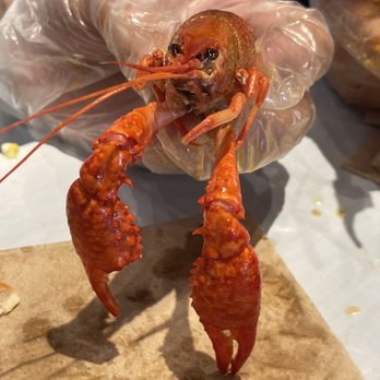 Hot N Juicy Crawfish - Seafood Near Me - Phoenix, Arizona Hot N Juicy Crawfish - Seafood Near Me - Phoenix, Arizona