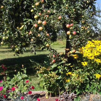 Williams Manor - Apple trees and flowers at Williams Manor - Bed & Breakfast Near Me - Sequim, Washington