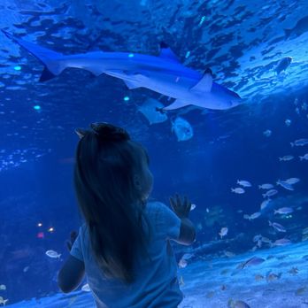 Newport Aquarium - Aquariums Near Me - Newport, Kentucky