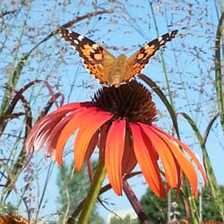 Greenwood Nursery