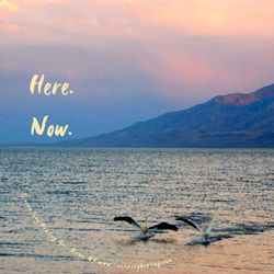 Sierra Sky Healing Arts - Photo of Pyramid Lake by Andy at SSHA