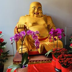 International Buddhist Society