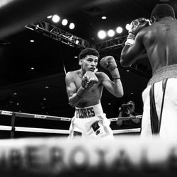 KMF Boxing