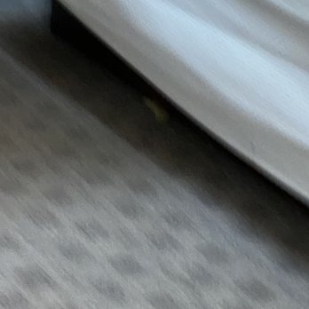 Catskill Seasons Inn - Food under bed - Hotels Near Me - Shandaken, New York