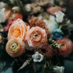 Beauty And The Bloom