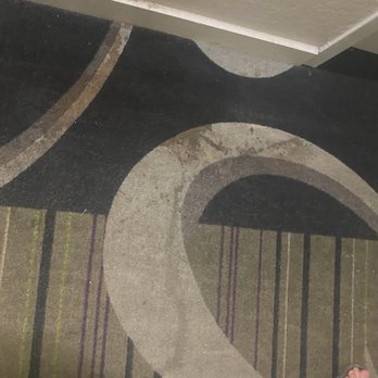La Quinta Inn by Wyndham Jupiter - Carpet that has never been cleaned - Hotels Near Me - Jupiter, Florida La Quinta Inn by Wyndham Jupiter - Carpet that has never been cleaned - Hotels Near Me - Jupiter, Florida