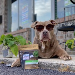 House of Smoke - Smoke Shop - Bailey showing off her favorite Charlottes Web Chews!