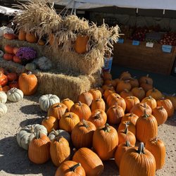 Old Fashioned Fruit & Veg