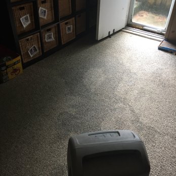 Shamrock Carpet & Upholstery Cleaning - Whilst waterlogged - Carpet Cleaning Near Me - Baldwin, Maryland Shamrock Carpet & Upholstery Cleaning - Whilst waterlogged - Carpet Cleaning Near Me - Baldwin, Maryland