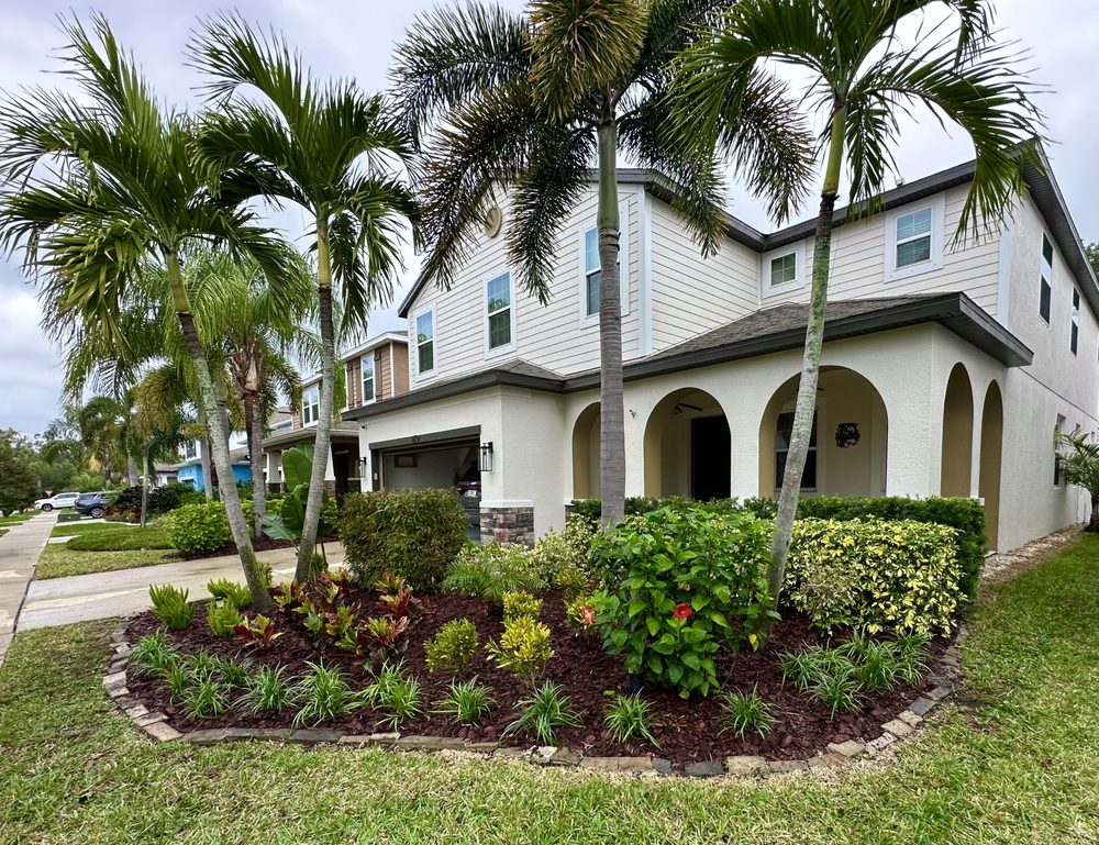 TAMPA LANDSCAPE SOLUTIONS Updated August 2024 18 Photos 13003 Tom