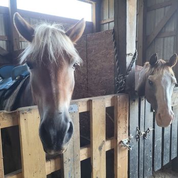 Recovery Equestrian Facility - Horseback Riding Near Me - Spotsylvania, Virginia Recovery Equestrian Facility - Horseback Riding Near Me - Spotsylvania, Virginia