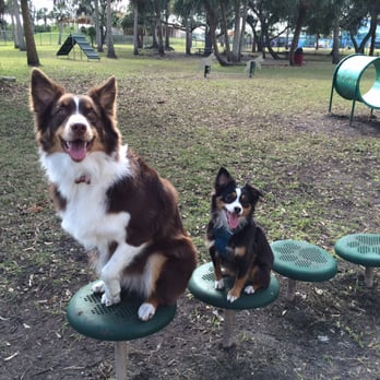 Mobbly Bayou Dog Park - Pups looking cute! - Dog Parks Near Me - Oldsmar, Florida Mobbly Bayou Dog Park - Pups looking cute! - Dog Parks Near Me - Oldsmar, Florida