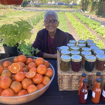 Westgate Community Farm - Farmers Market Near Me - West Palm Beach, Florida Westgate Community Farm - Farmers Market Near Me - West Palm Beach, Florida