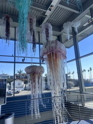 Monterey Bay National Marine Sanctuary Exploration Center by null