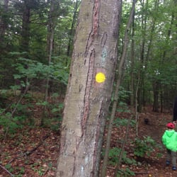 Mount Warner - Follow the dots