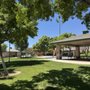 Photo of Spotted Leaf Park