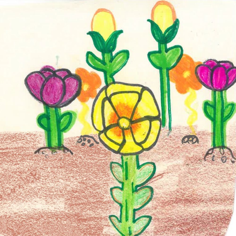 Marigold Healing - grief counselor in Portland, OR