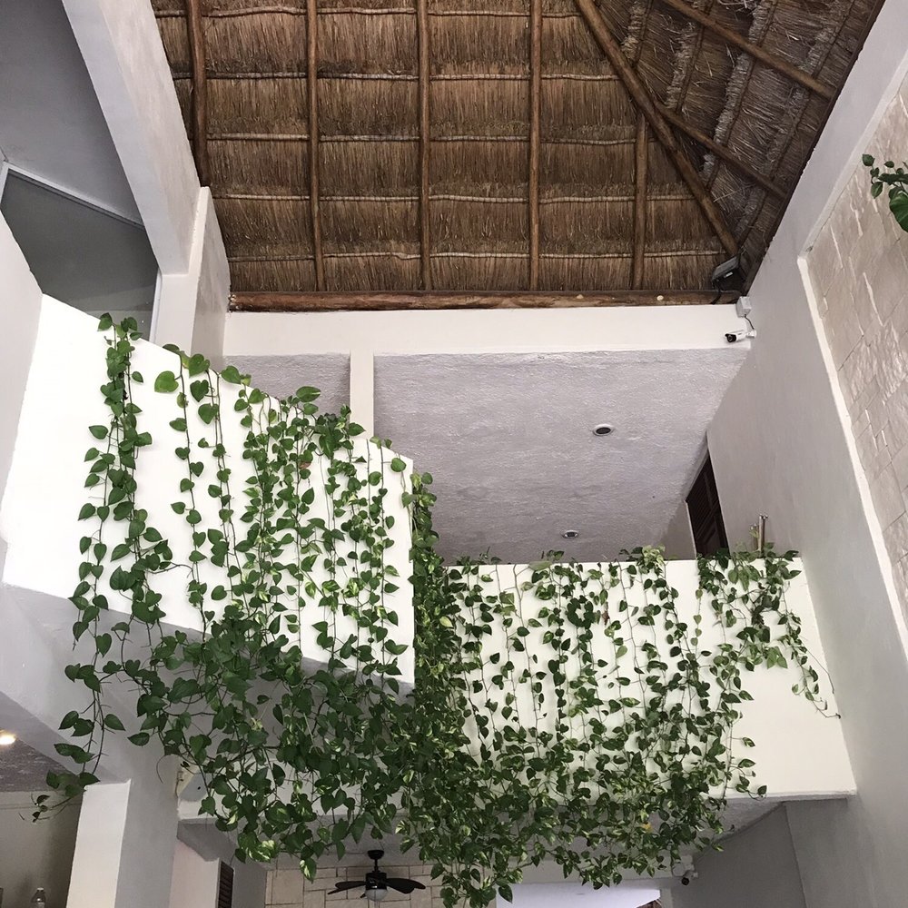 Petit Lafitte - Hotels Near Me - Playa del Carmen, ROO