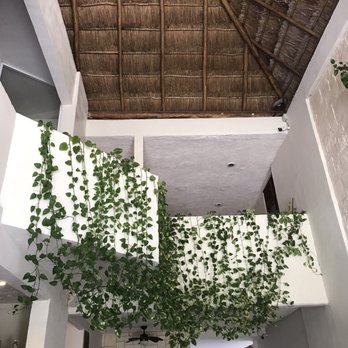 Petit Lafitte - Hotels Near Me - Playa del Carmen, ROO