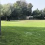 Photo of Longwood Park